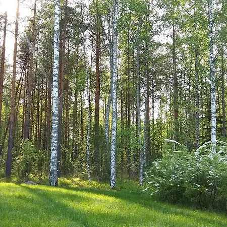 Marina Rauhan Village Imatra