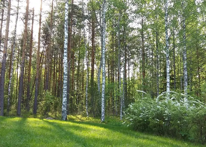 Marina Rauhan Village Imatra