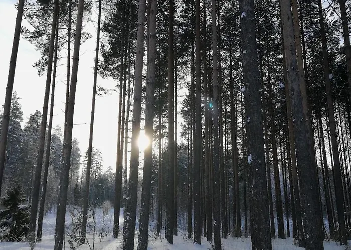 Marina Rauhan Village Apartmán